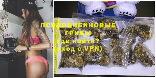 стаф Алексин